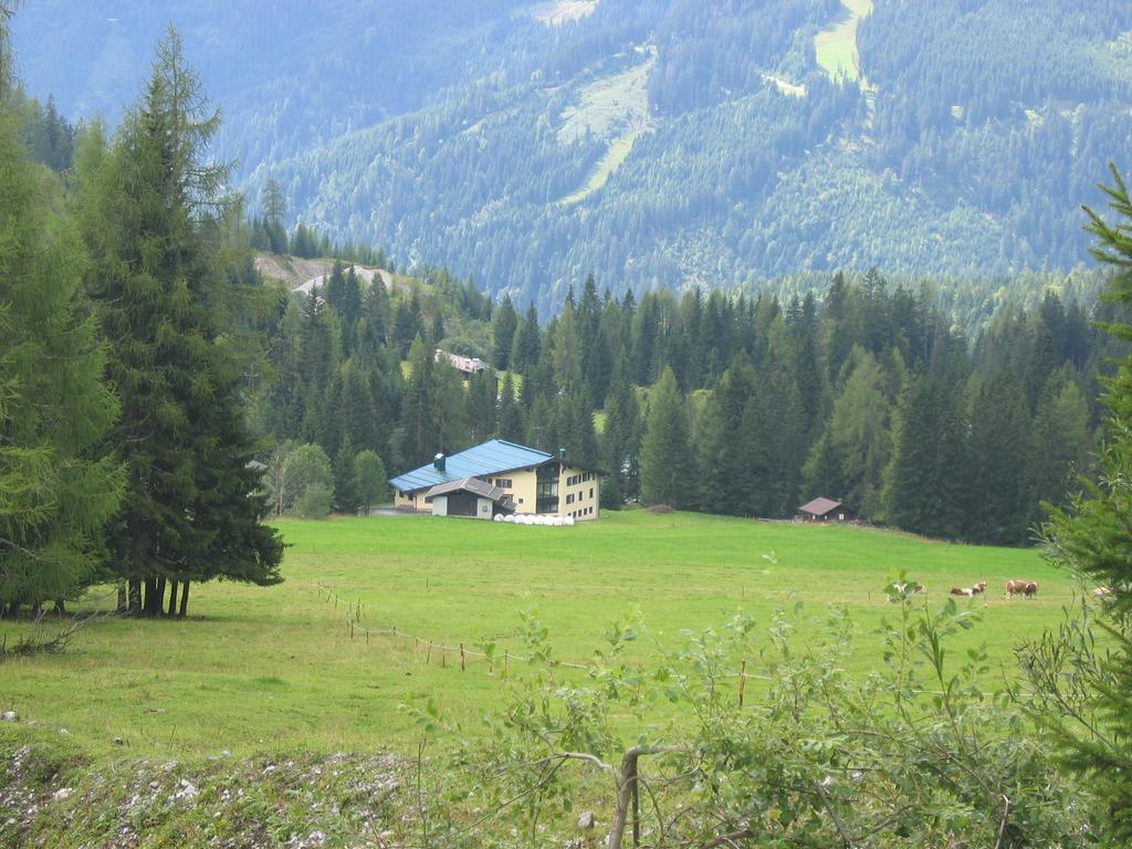 Appartementhaus Hochkoenig 1 - Alpenrose Мюльбах-ам-Гохкеніг Номер фото