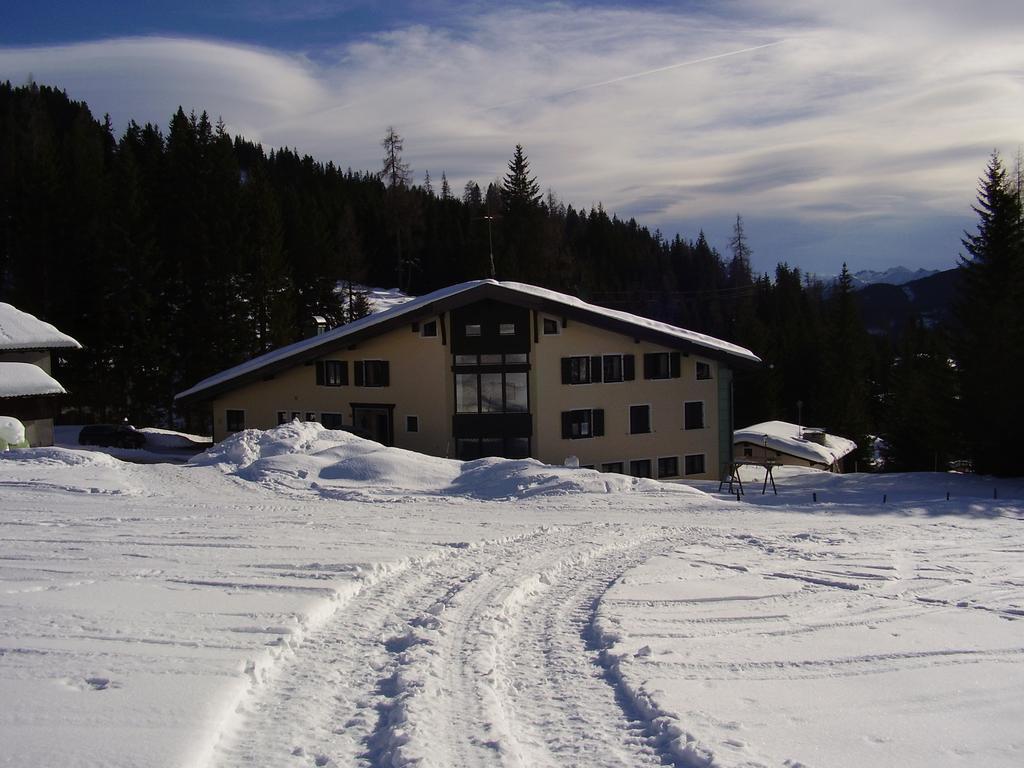 Appartementhaus Hochkoenig 1 - Alpenrose Мюльбах-ам-Гохкеніг Екстер'єр фото