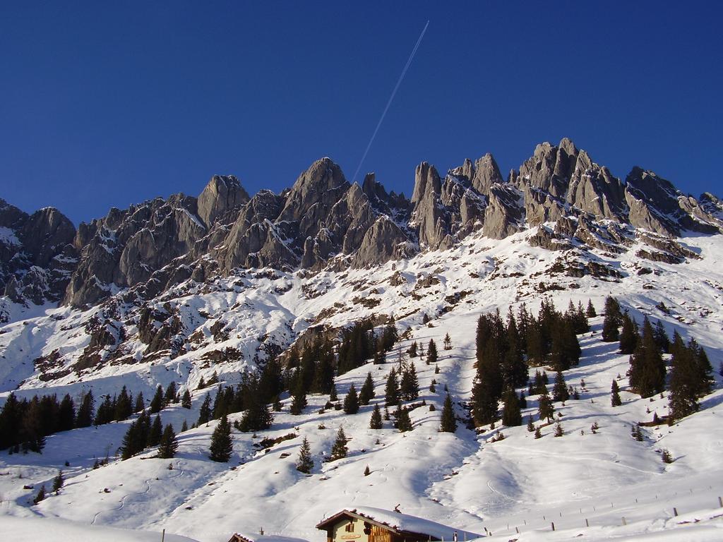Appartementhaus Hochkoenig 1 - Alpenrose Мюльбах-ам-Гохкеніг Номер фото